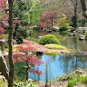 Meet your Posher, John s.